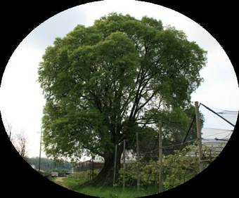 Agroturismo La Meridiana