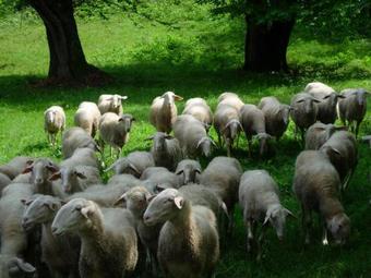 Agroturismo Cascina Veja