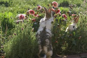Hostal Landpension Freiimfelde