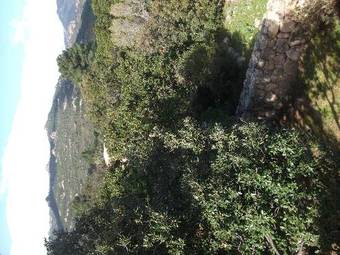 Apartamento Residence Riviera