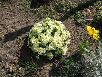 Bed & Breakfast Chambres D'h�tes Le M�rier