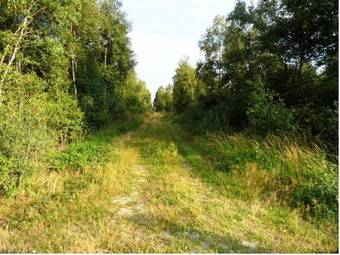 Apartamentos Ferienwohnung Uchte