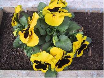 Bed & Breakfast Domaine De L'etang