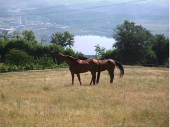 Agroturismo Agriturismo Podere La Fornace