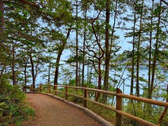 Hotel Coachman Inn Oak Harbor