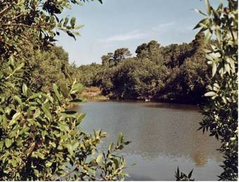 Bed & Breakfast Abbaye De Capservy