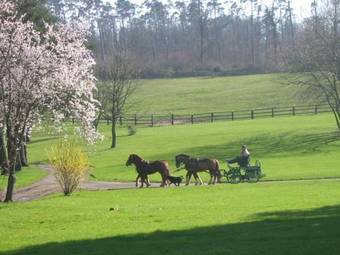 Bed & Breakfast Chambres D'h�tes La Verrerie Du Gast