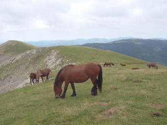 Apartamento Alojamientos Rurales Apezarena