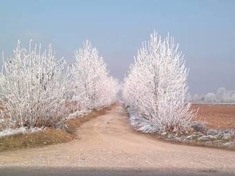 Bed And Breakfast Monticlaris