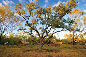 Bungle Bungle Wilderness Lodge
