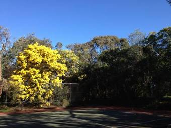 Villa Split Point Cottages