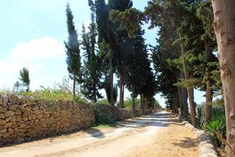 Bed & Breakfast Casale Rocca Fiorita