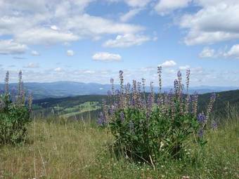 Hostal G�stepension Edeltraud