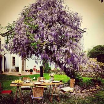 Hotel La Casona Azul