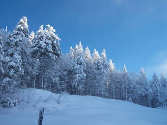 Hotel Residence Boscolungo