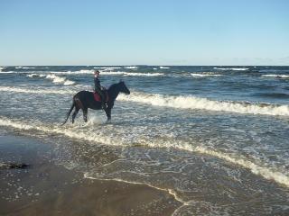 Friesenhof Reit- Und Freizeithotel