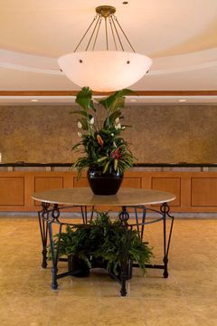 Hotel Doubletree Guest Suites Tampa Bay