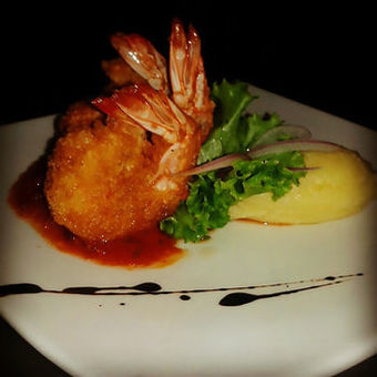 Hotel Whales  And  Dolphins