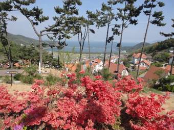 Germany Village Munich House