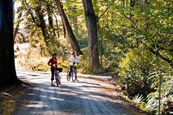 Glenorchy Peaks Bed And Breakfast