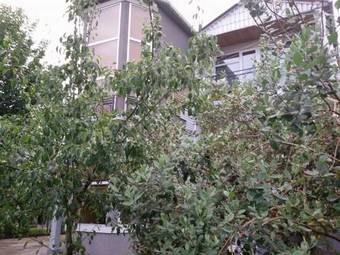 Hostal Guest House Smile