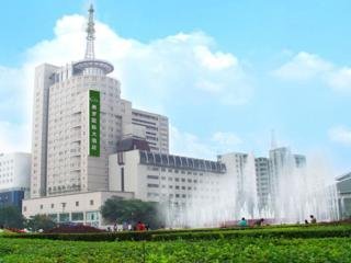 Hotel Aurum International