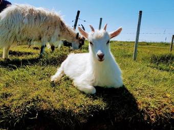 Hostal Sk�latj�rn Homestay