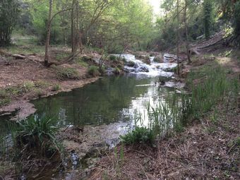 Agroturismo Can Morei