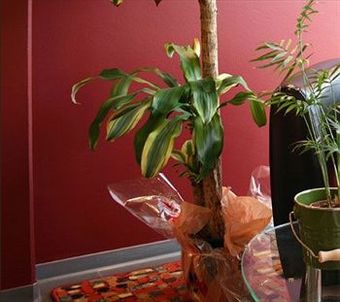 Inter-hotel Le Forum