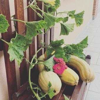 La Corte D'emilio B&B