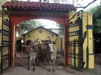 Bed & Breakfast Hacienda Amarilla Del Mar