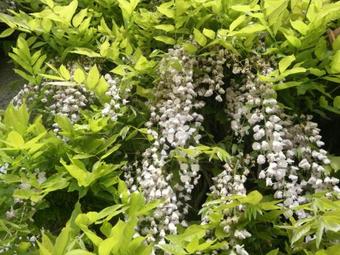 Maison De Vacances - Sourdeval-les-bois 2