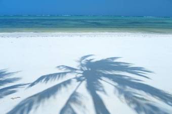 Hotel Breezes Beach Club And Spa