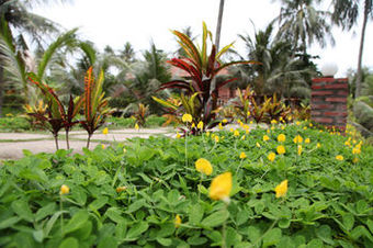 Hotel Thanh Kieu Beach Resort