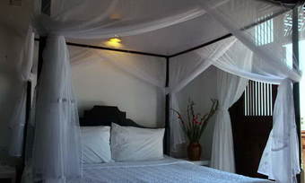 Hotel Ancient House Resort