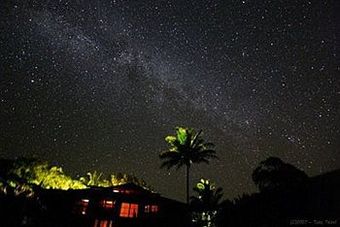 Macadamia Meadows Farm Bed & Breakfast