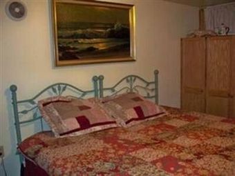 Bear House Bed And Breakfast