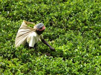 Hostal Aelam Home Stay Cabana