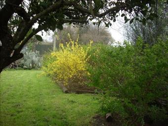 Bed & Breakfast L'albero Di Alberto