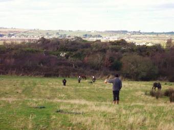 Glan Morfa Lodge & Wildlife Experience