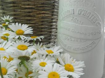 Hostal Les Chambres Du Vivier