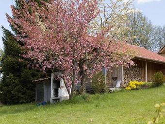 Apartamento Ferienhaus Weps