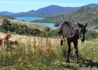 Apartamento Finca Ranchiles