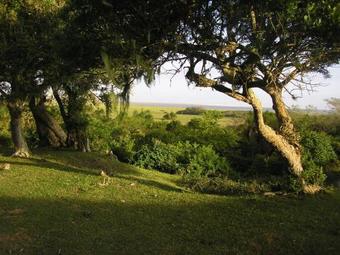 Agroturismo Aldeia Santuario Das Aves