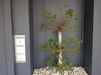 Pavilion Hotel Kuantan