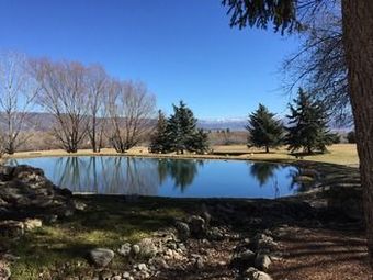 Hotel Homestead Resort