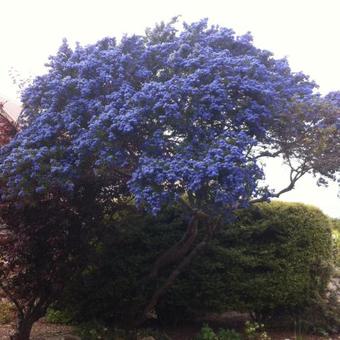 Bed & Breakfast Herons Rise Vineyard Accommodation