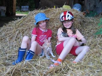 Apartamento Huisnhof