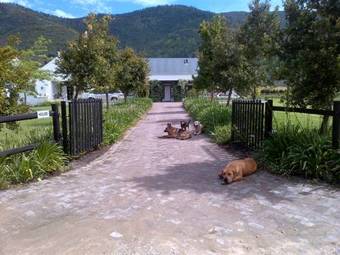 Bed & Breakfast Kurlandpark