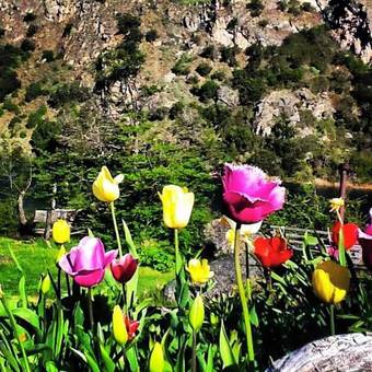 Caba�as Brellenthin